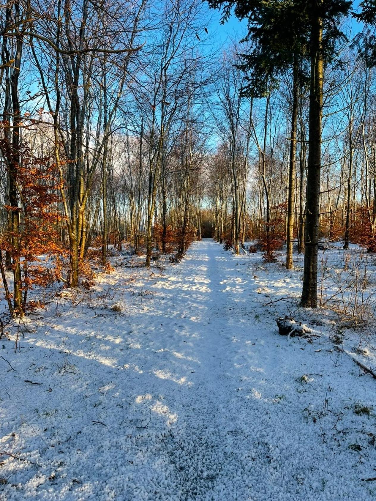 B&B Saga Herning Dış mekan fotoğraf